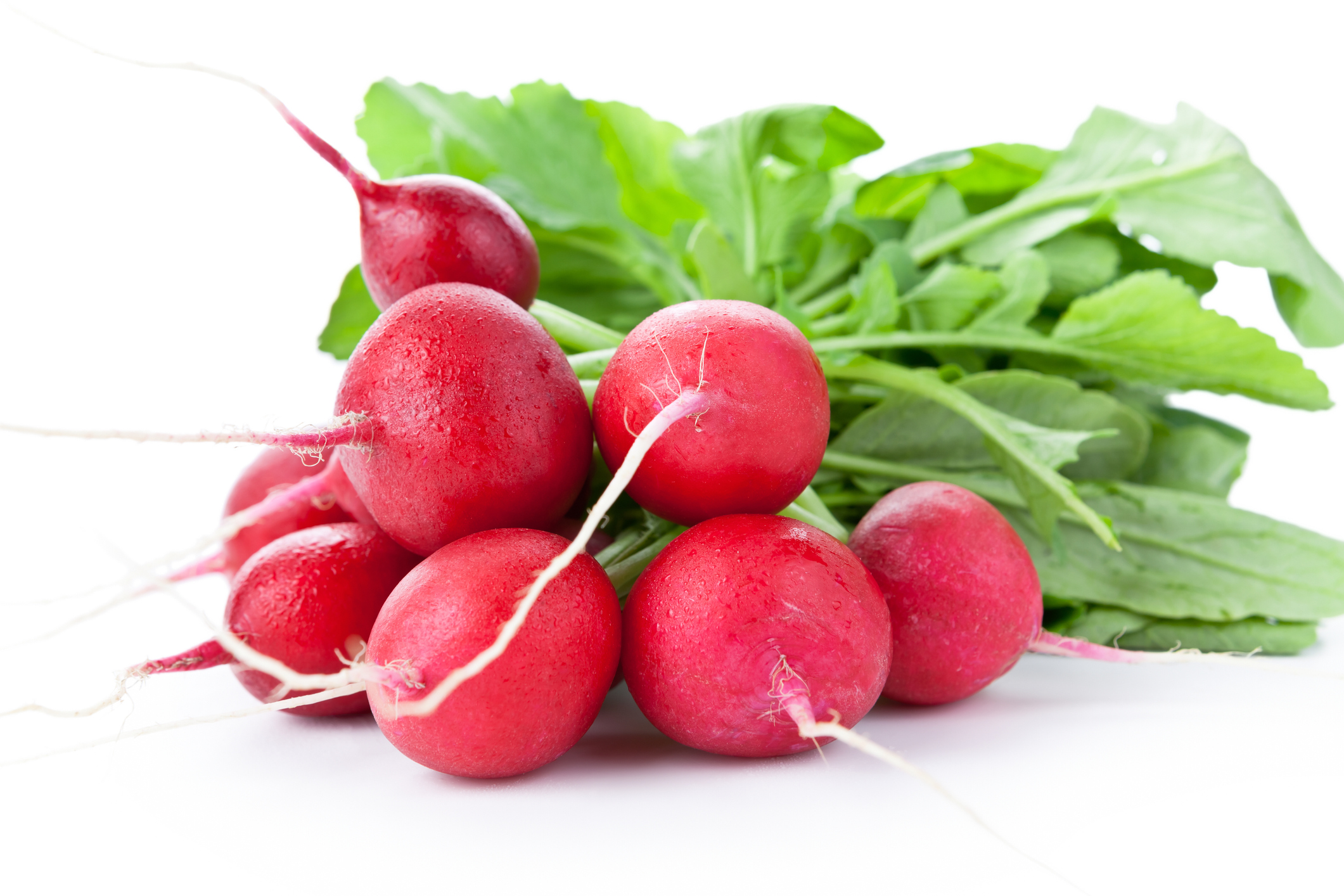 Radishes